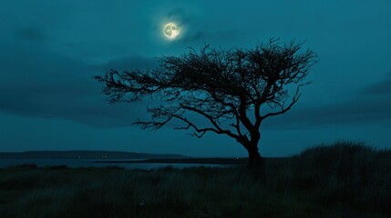 Lonely tree silhouetted against coastal moonlit night