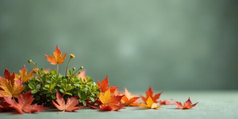 Autumnal Arrangement of Maple Leaves and Small Blossoms on a Subtle Green Background
