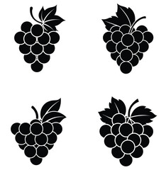 vector illustration of grapes with leaves Silhouette on white Background 
