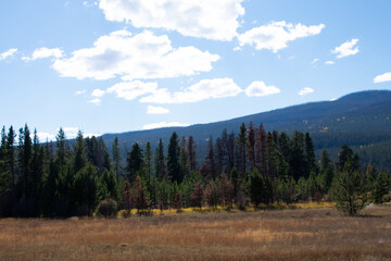 Mountain Landscapes Rocky Mountain National Park Colorado 