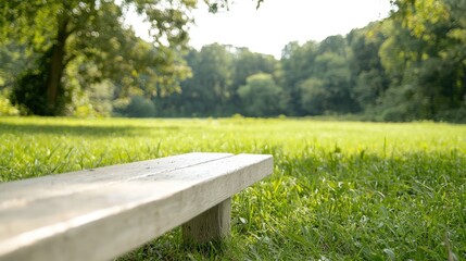 Fototapeta premium Park bench, summer day, green field, relaxing