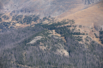 Landscape at Rocky Mountain National Park Colorado