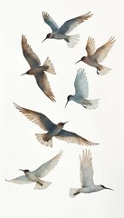 Fototapeta premium bird silhouettes flying watercolor background texture white olated flying watercolor bird silhouette isolated background colours pigeon flock element design ornament illustration freedom sky abstract