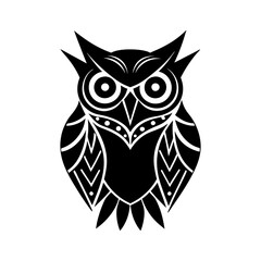 owl on white background