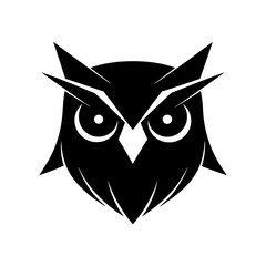 black and white owl