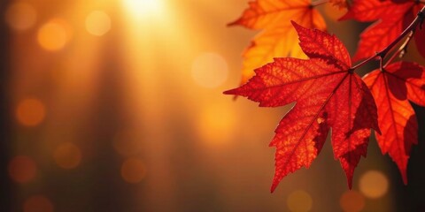 Fototapeta premium Autumnal foliage glows vibrantly against a warm, sun-drenched backdrop, showcasing the beauty of nature's seasonal transition.
