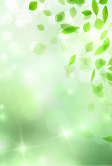 Fototapeta premium 新緑 葉 風景 背景