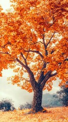 Fototapeta premium Vibrant Orange Autumn Tree in a Peaceful Landscape During the Fall Season