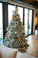 christmas tree in the living room