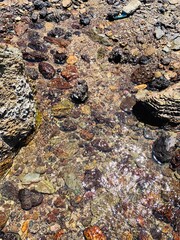Close-up view of rocks in the sea