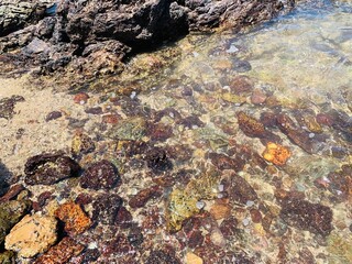 Close-up view of rocks in the sea