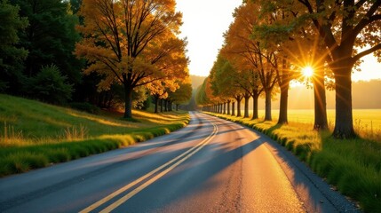Autumnal Road at Sunrise A Serene Drive Through Golden Trees and Verdant Meadows