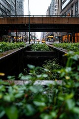 Fototapeta premium Urban view of plants in city, with cars on a rainy day. Stock image