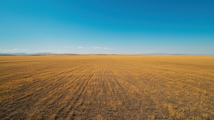 Fototapeta premium A solar panel field stretching across the land under clear blue skies.