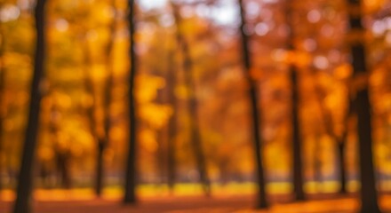The warm hues of autumn dominate this blurred forest image, with vertical tree trunks adding structure and depth to the dreamy scene