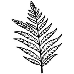 Obraz premium Elegant fern frond illustration in botanical style with intricate details and natural curves
