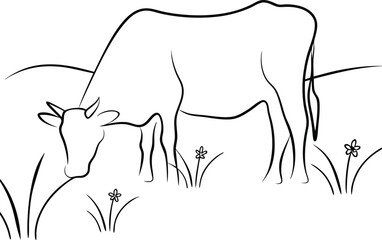 Grazing Cow in Pasture Simple Line Art Drawing