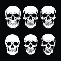 Human Skull and Bones Silhouettes Vector