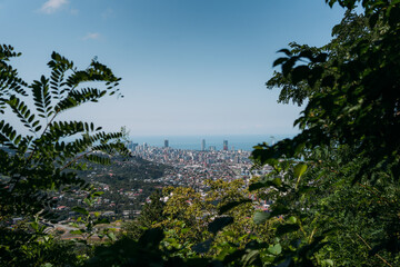 Cityscape view framed by green foliage from hilltop under clear blue sky, showing vibrant contrast between nature and urban life. Great for travel, landscape, and city themes