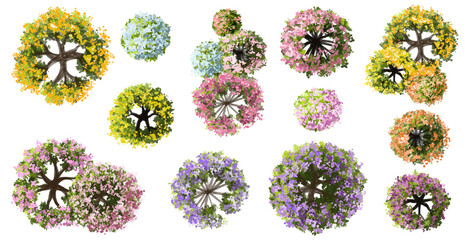 Vector watercolor of blooming tree top view isolated on white background for landscape plan and architecture drawing, elements for environment and garden,botanical elements ,blooming flower in spring © Chanya_B