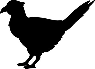 Pheasant Bird Black Vector Silhouette on White Background
