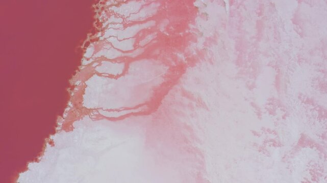 Abstract nature aerial, Hutt lagoon pink lake, Western Australia