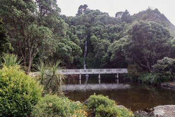 Tranquil Napier Centennial Gardens scene with a white bridge over a still pond, a waterfall cascading down a lush hillside. Peaceful.  Napier, Hawke's Bay, New Zealand