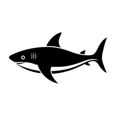 shark vector illustration