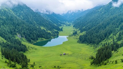 Obraz premium Alpine lake valley summer scenic landscape, aerial view
