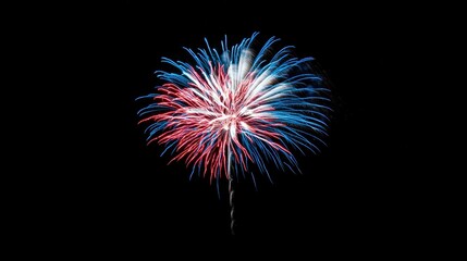 Fototapeta premium Red, white, and blue fireworks against a dark night sky for a 4th of July celebration.