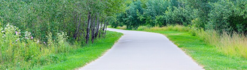 Journey into nature embrace discover serene woodland path tranquil