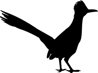 Roadrunner Bird Black Vector Silhouette on White Background
