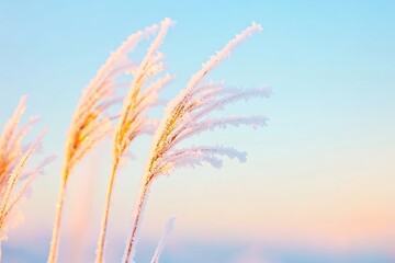 Obraz premium artistic macro shot of frost-covered grass blades their crystalline structures sparkling in early morning light