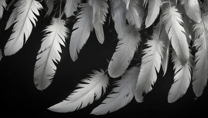 Obraz premium Light white feathers drifting down on a glossy black background, aesthetic, meditation, calming, inspiration, shadow