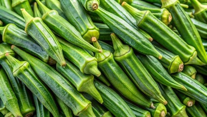 Obraz premium Harvesting fresh okra pods a close-up view of deep green vegetables in a lush garden setting