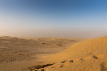 Rolling sand dunes of the top of the Sahara desert