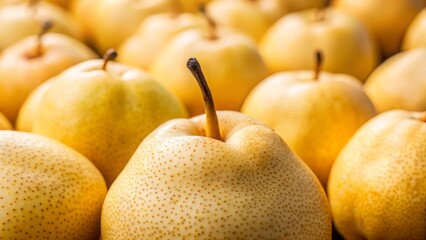 Harvesting juicy chinese pears an insightful guide to locations varieties and cultivation techniques