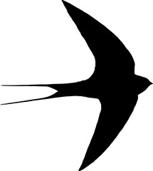 Swallow brid Black Vector Silhouette on White Background