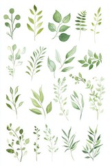 Watercolor Green Leaves Collection, Botanical Design, White Background, Wedding Stationary