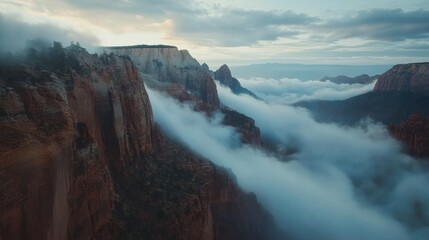 Enigmatic Canyon: Mist-Shrouded Cliffs at Dawn