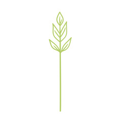 Simple Green Plant Illustration