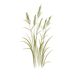 Serene Grass Silhouette