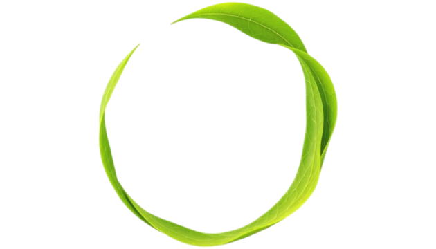 Fresh Green Leaves Form a Circle Perfect for Nature-Themed Designs. This image features vibrant green leaves artfully arranged to create a seamless circle against a PNG/Transparent/white background