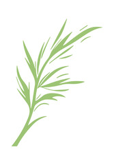 Naklejka premium Elegant Green Leaf Illustration