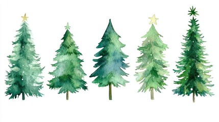 Watercolor Christmas trees; festive design, winter holiday background, card