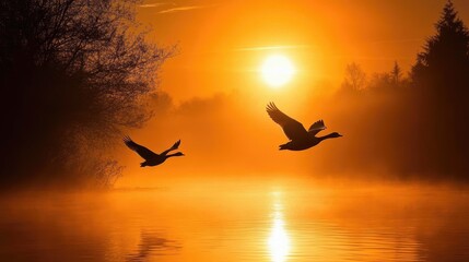 A stunning sunrise scene with two geese soaring over shimmering water, their silhouettes highlighted by the warm golden light of the morning sun