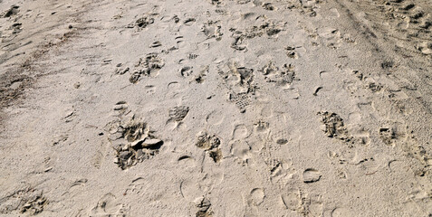 footprint of shoe in sand