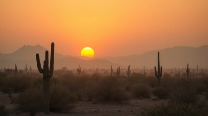 Arizona Desert Sunset Landscape with Saguaro Cacti