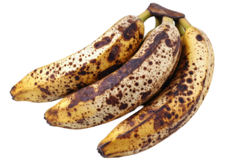 Isolated Group of Spotted Overripe Bananas