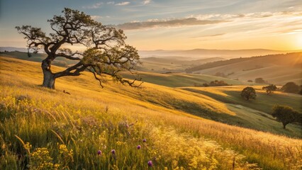 Fototapeta premium Golden Hour Serenity: Premium Time-Lapse Photography of Peaceful Nature